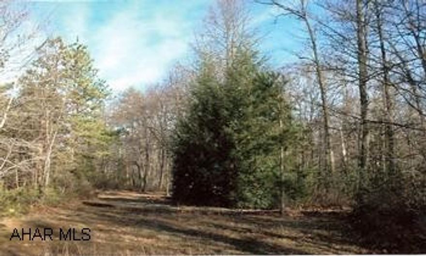 Level wooded lot in Breeze Mont Park. Lot adjoins State Forest. Property has well, septic, electric, small camper and storage shed. Well has newer pump, camper has propane furnace, kitchen 3/4 bath.