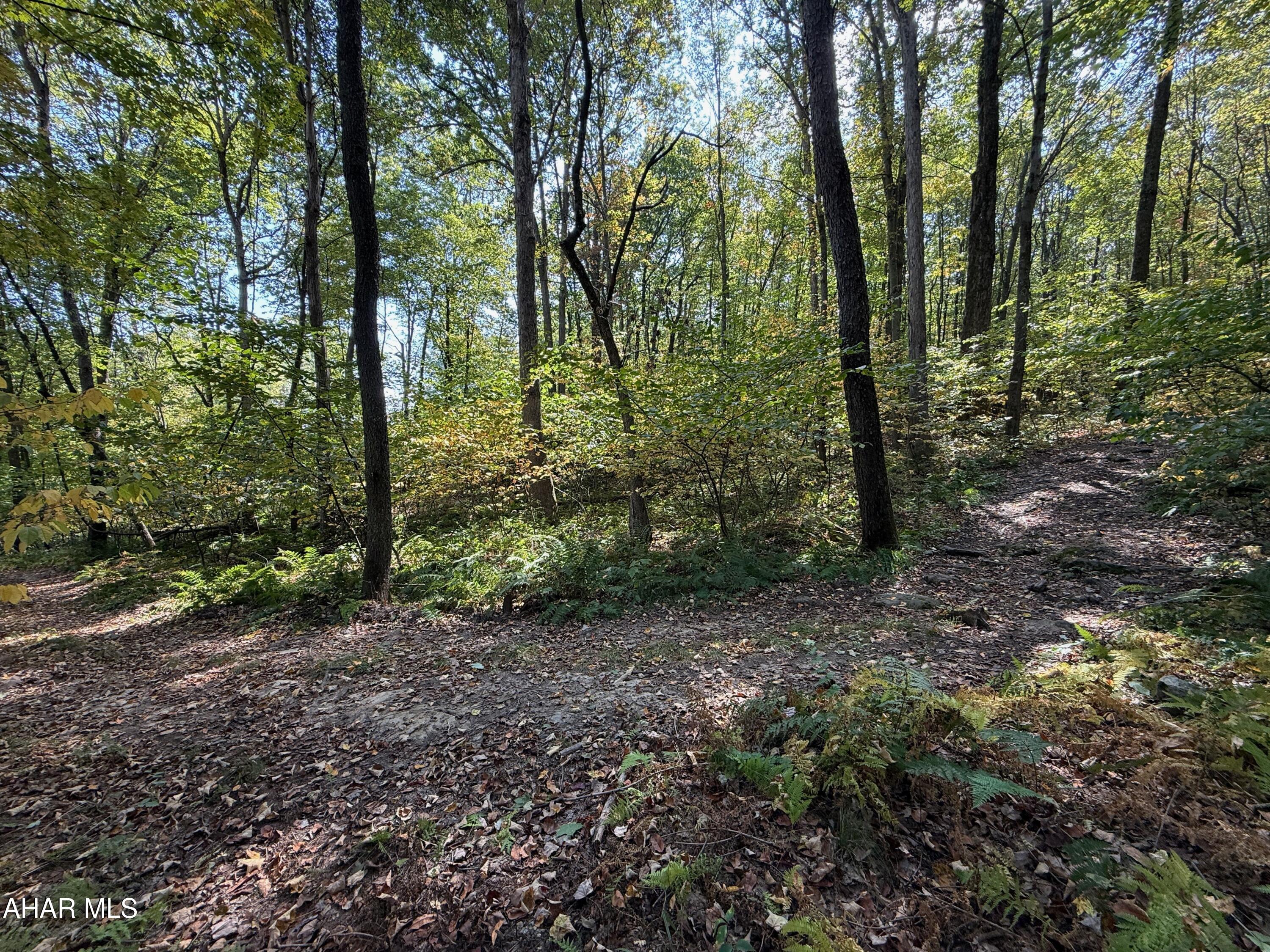 Ridgewood Development - Land