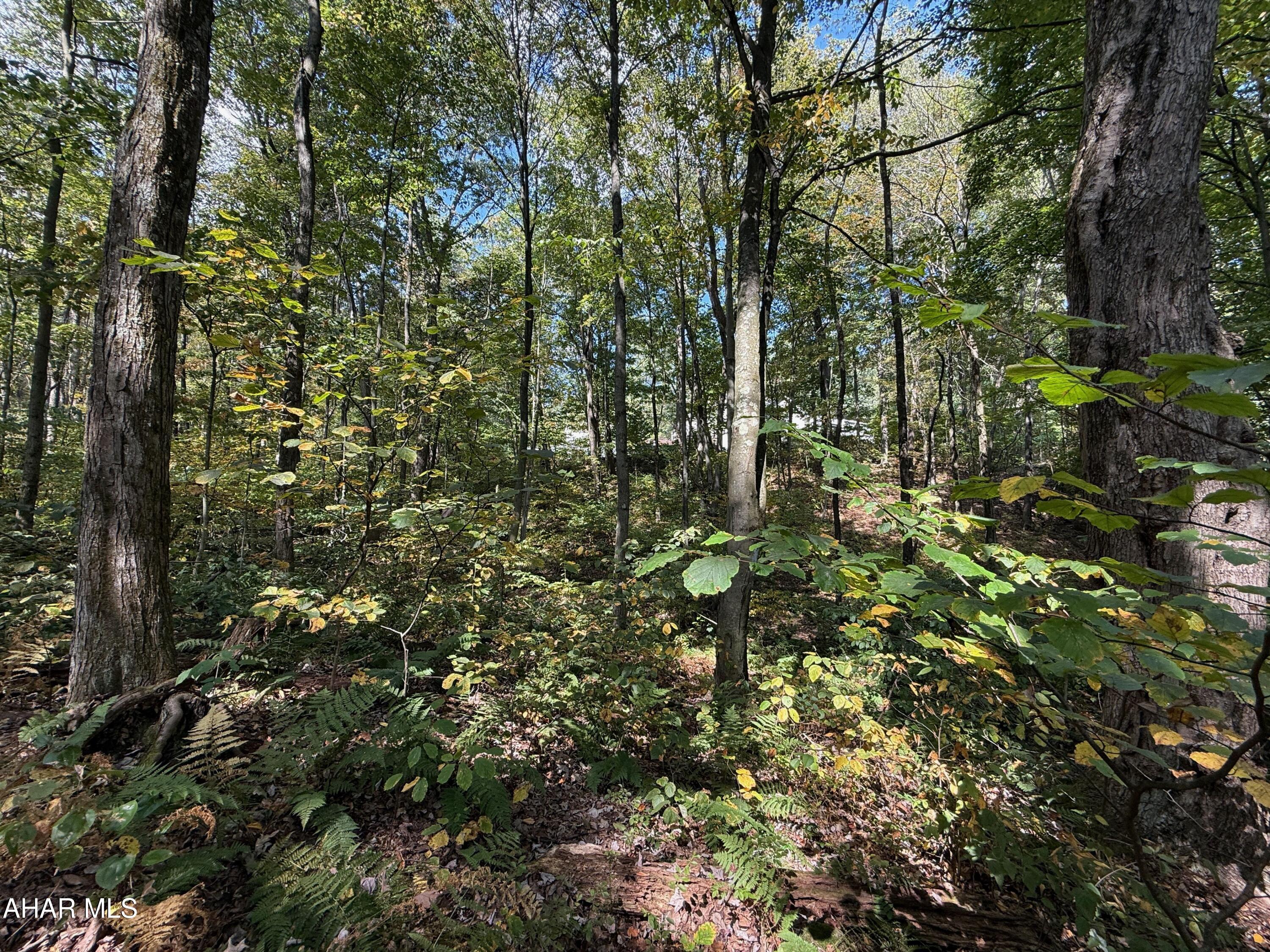 Ridgewood Development - Land