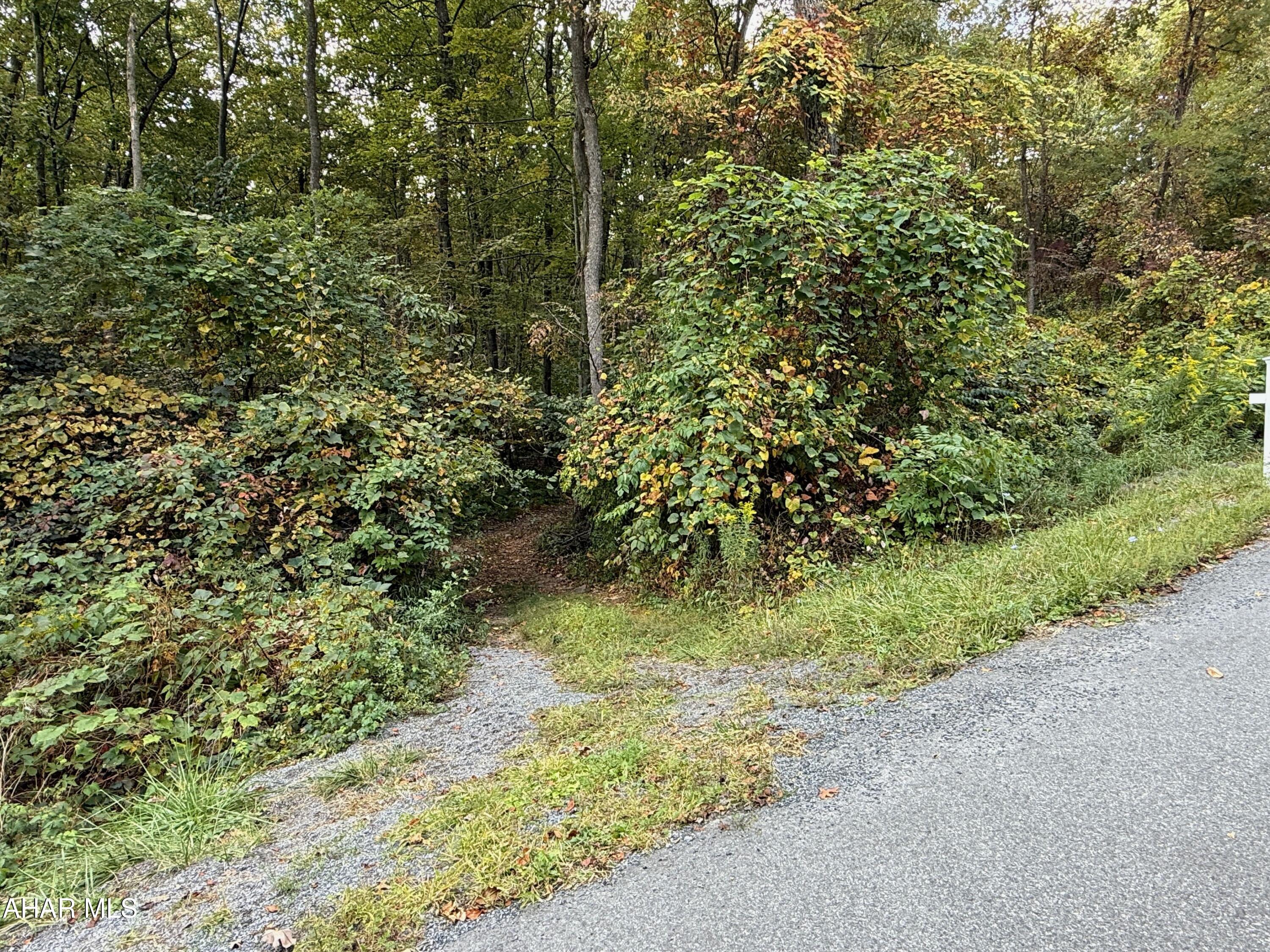 Ridgewood Development - Land