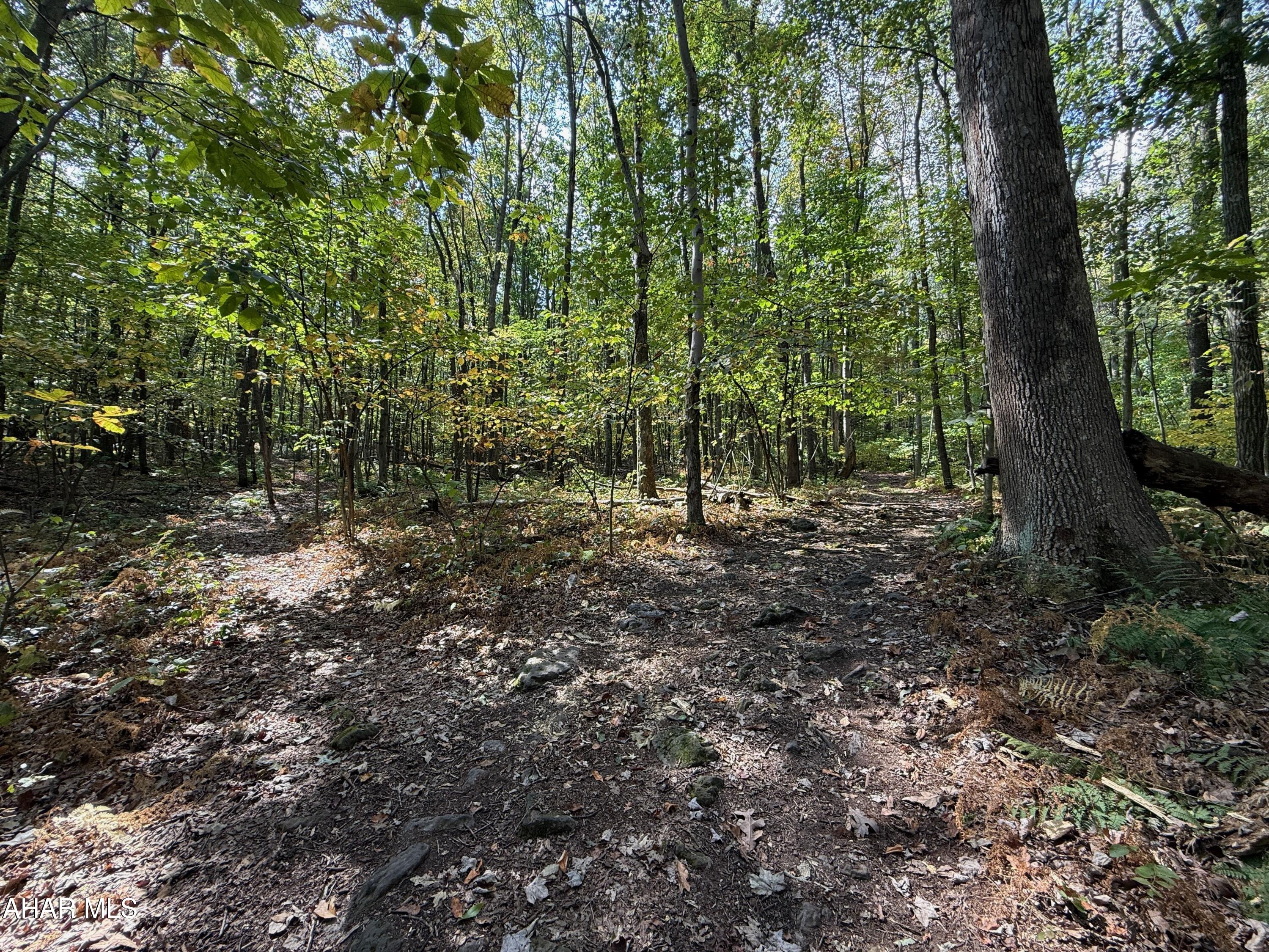 Ridgewood Development - Land