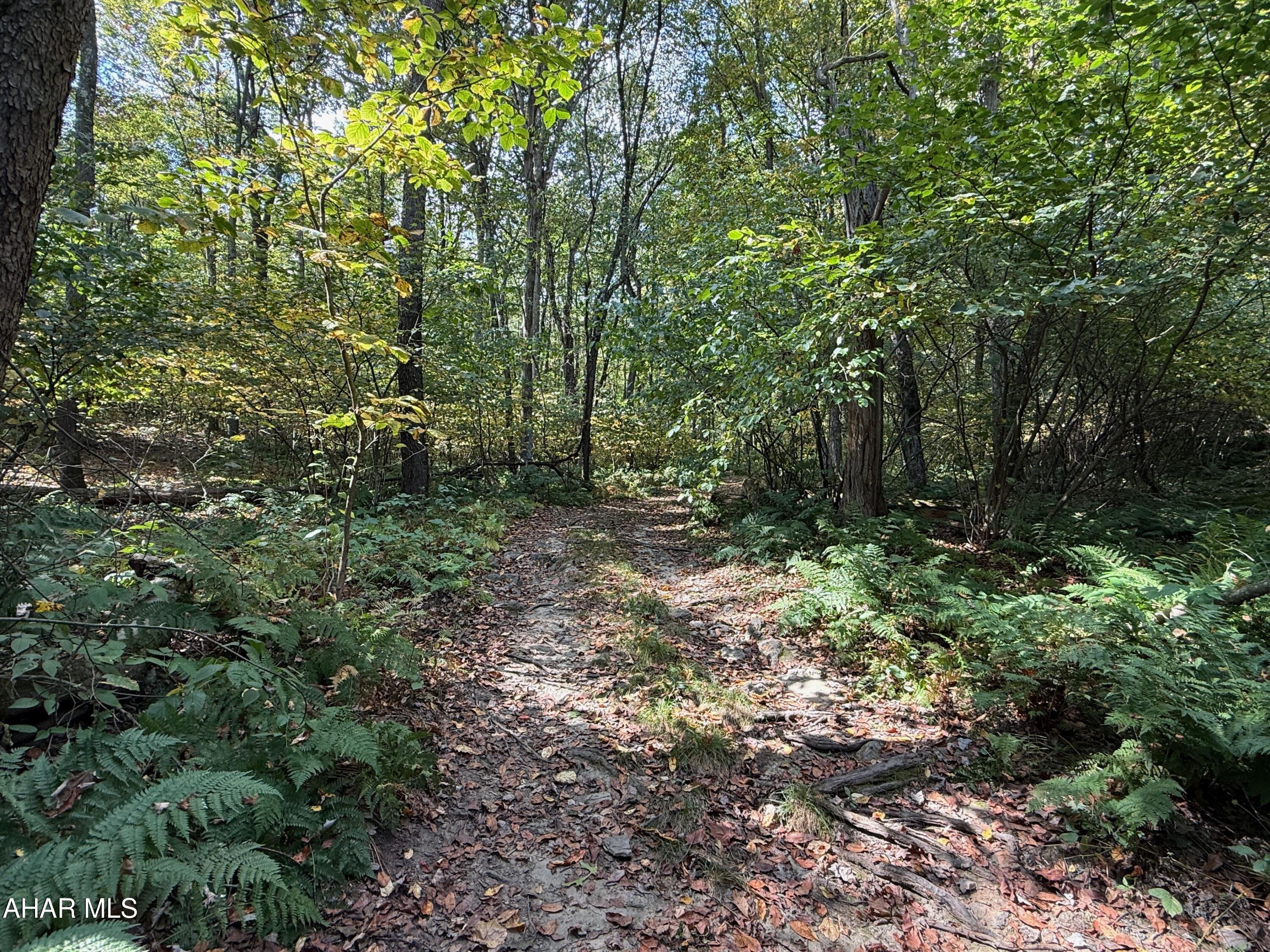 Ridgewood Development - Land