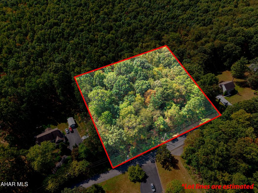 Discover the opportunity to build your dream home on this 1.5-acre wooded lot in the Ridgewood development. The property offers privacy with its natural setting, yet provides the convenience of community living. Public sewer is available, potential buyers are encouraged to confirm with township on the availability of public water. Whether you're looking to create a permanent residence or a getaway retreat, this buildable lot provides the space and flexibility to bring your vision to life.