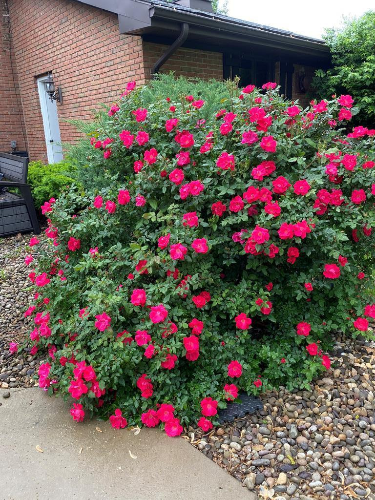 Penn Farms - Residential