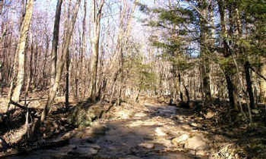 Beautiful wooded lot with a stream close to Blue Knob State Park
