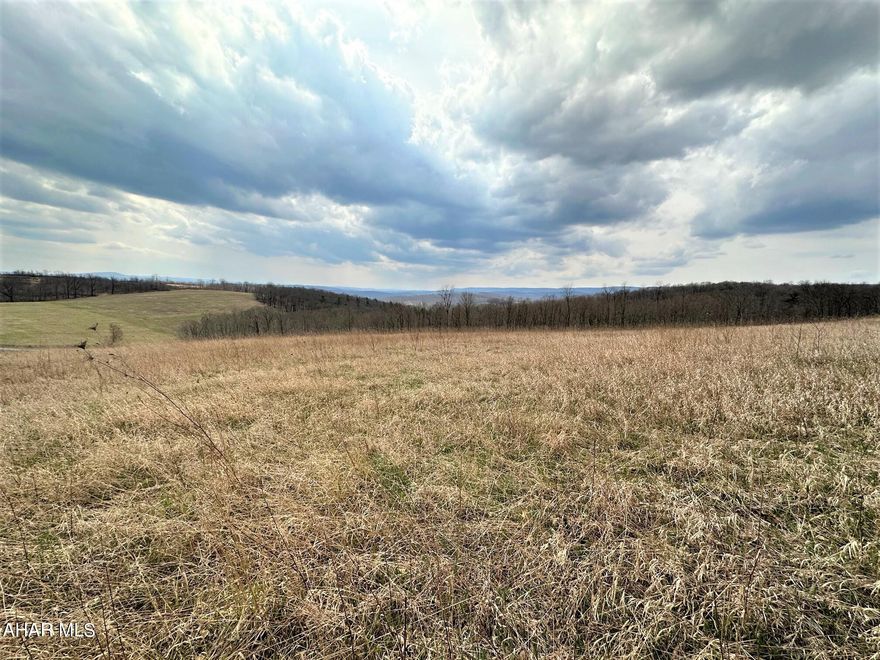 Absolutely gorgeous 24.45 acres!! This property is mostly open with stunning views of the countryside. Land is sloping, rolling, and level with public road frontage. Perfect property for that new dream home or get-away cabin. Land is currently in the CREP (conservation reserve) Program but can be removed from CREP. Land has not been perc tested and sale is contingent upon subdivision approval. Final survey on file.