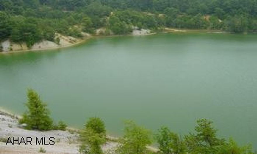 Lot # 1-6 286.4116 acres  Gas and oil rights do not transfer. Gas and oil rights do not transfer. Take PA 866 to Royer Road turn onto Royer RD passed church go to stop sign approx 2 miles bear left go approx .3 mile then right onto Deafy Hill RD for approx .2 mile property begins at house on right.  Property borders Deafy Hill RD   on right for approx one mile from this point.  Realtor owned.