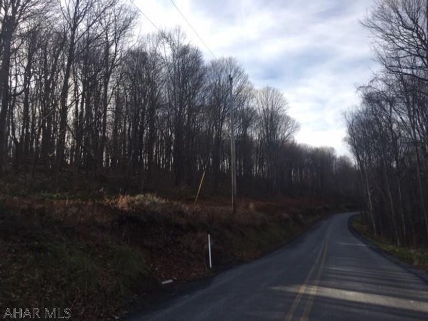 Beautiful and serene acreage. 55 acres offering privacy and views. Close to Rts 96 and 56.