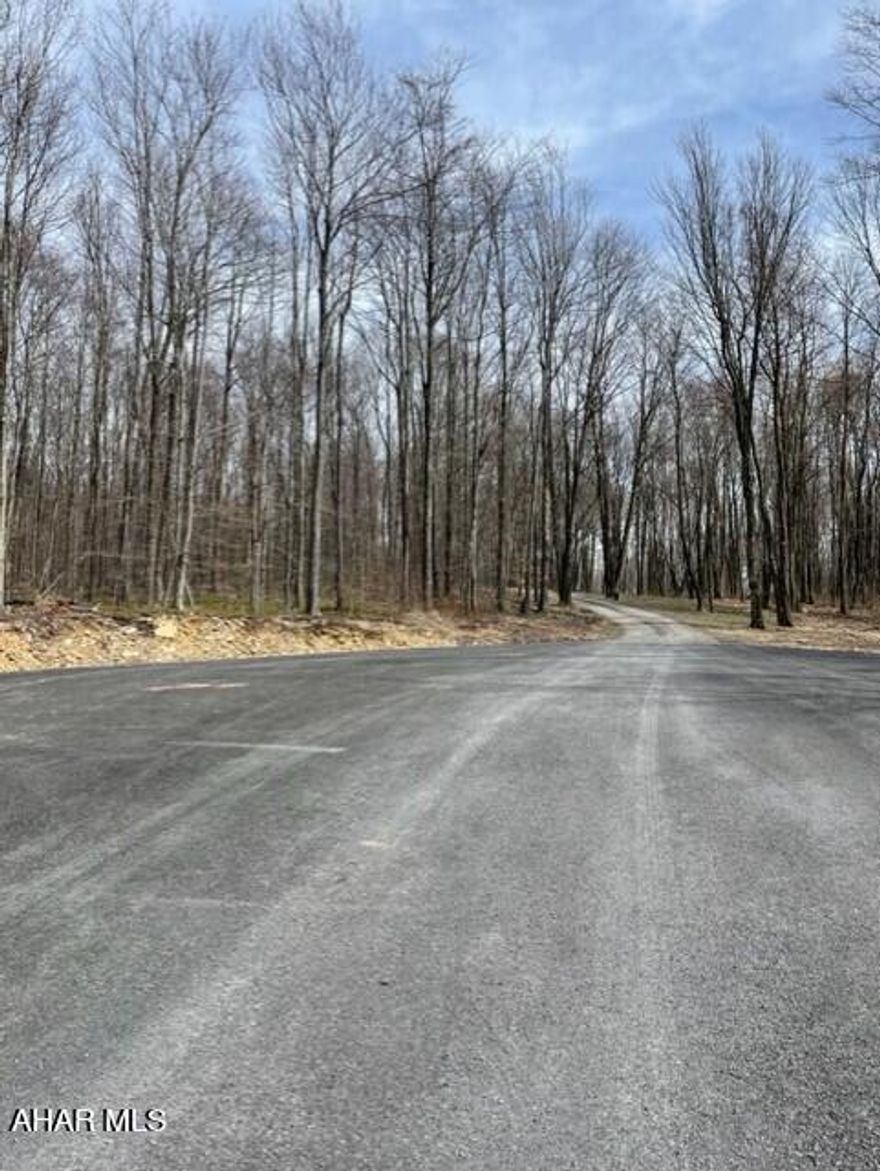 Beautiful wooded 1.1 acre double lot in the country! Paved road with city water, sewage & electric available
