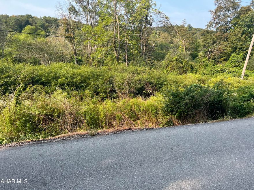 This lovely, quiet country road in southern Bedford County would be an ideal spot for your dream home or recreational cabin.  The property boasts 30 partially-wooded acres with a running stream making it ideal for outdoor enthusiasts.  No known survey exists, seller can only provide county tax maps. This is a listing for LAND ONLY.  The house at the top of the hill is owned by someone else and is NOT included.