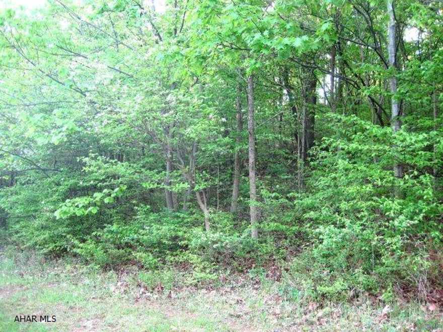 Building lot in the Cove.