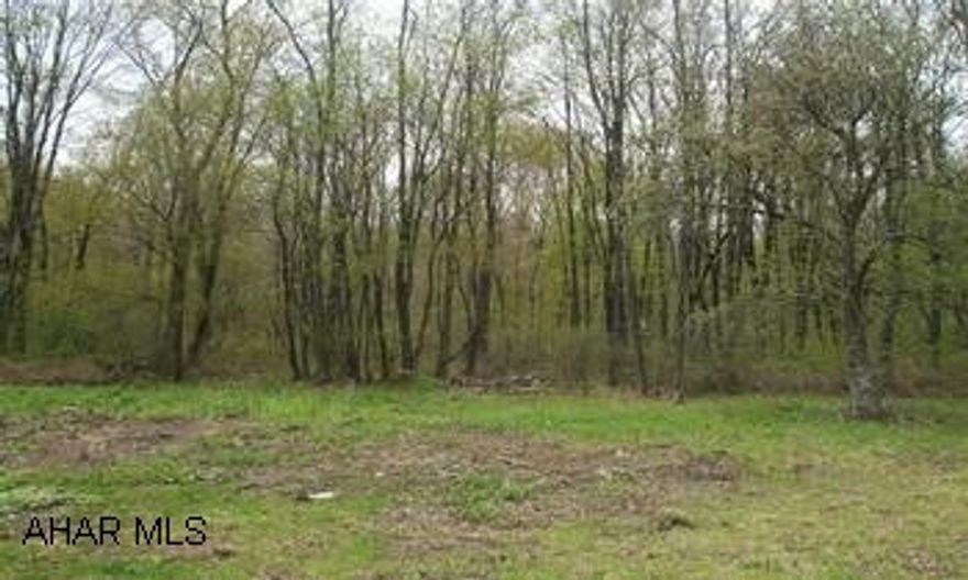 Large building lot!!  3.08 acres.  Public water and sewer available.  No deed restrictions.  Survey on file. Listing agent is a relative of Seller.  There are two exclusions listed in the contract.