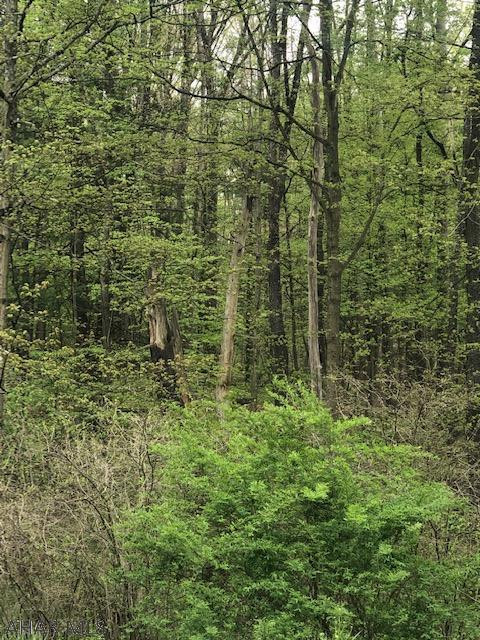 Warriors Mark - Land