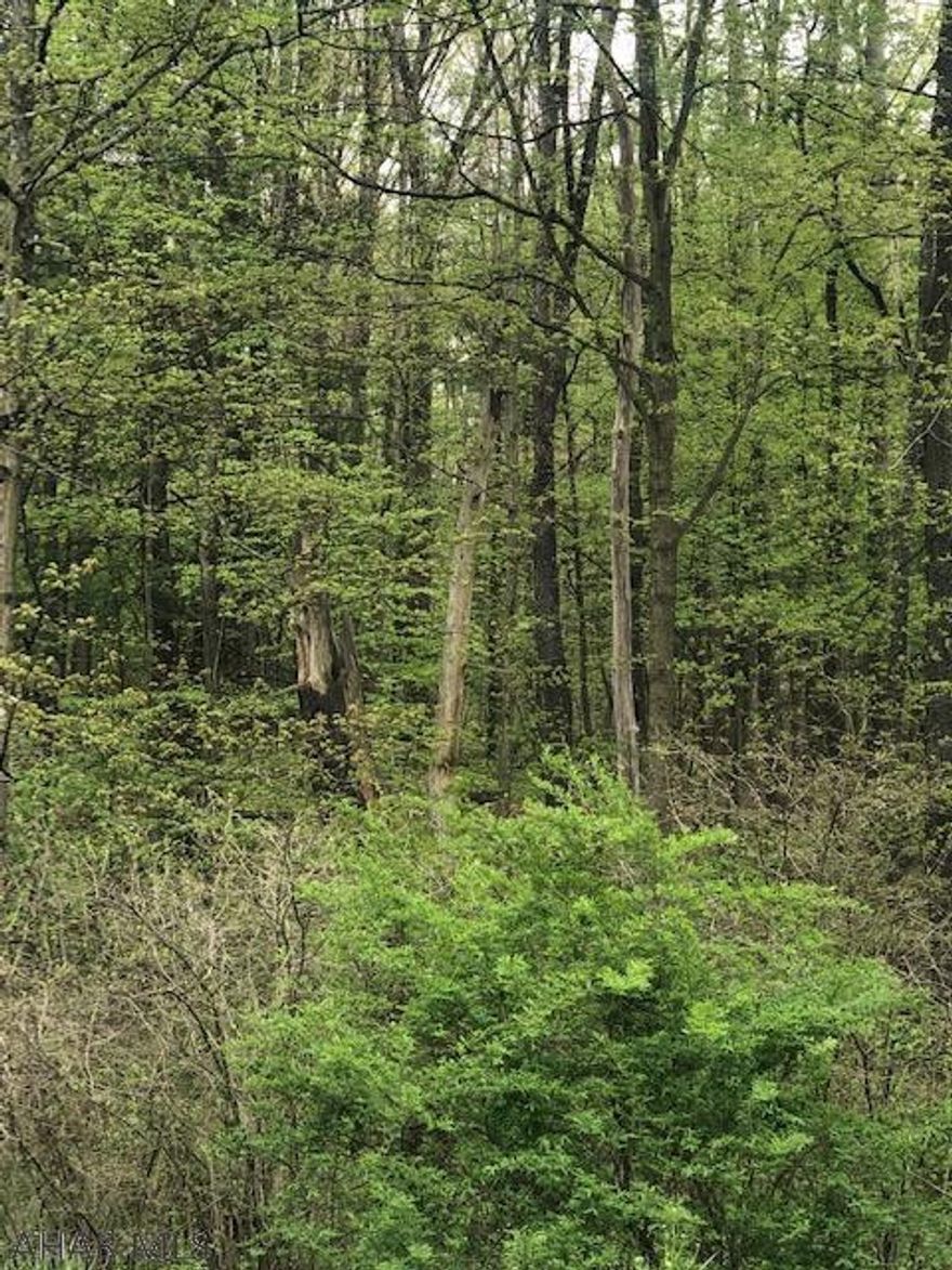 Beautiful wooded lot in Warriors Mark.  This is a perfect building lot in a great location!