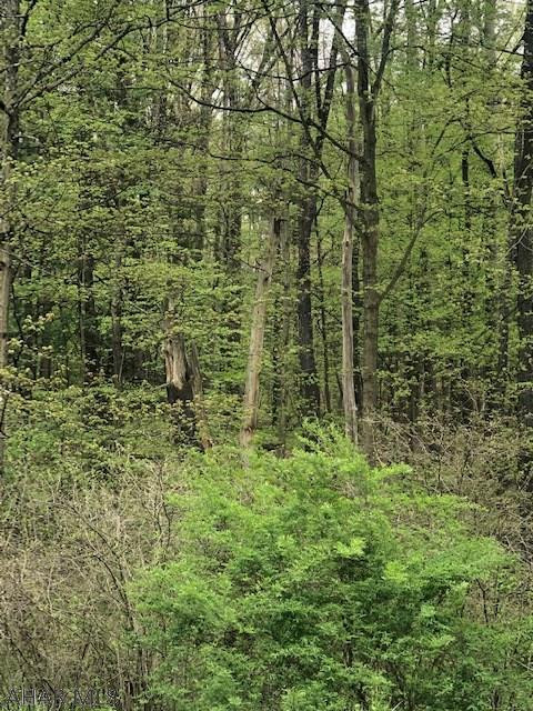 Warriors Mark - Land