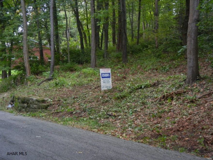 Wooded lot. All utilities available. Conveniently located.