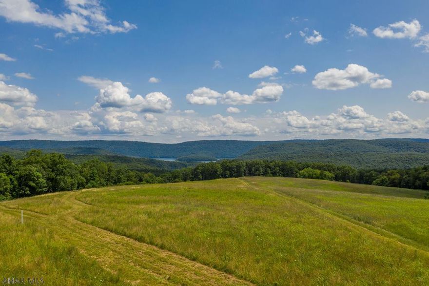 Lake view building lot overlooking Raystown Lake and adjacent to United States Army Corps of Engineers land. Easy access to property and direct walking access to lake. Located within minutes of Seven Points, Snyder's Run and Huntingdon businesses. One of the best unobstructed views of the lake is awaiting your dream home! Enrolled in clean & green for low taxes. Lot #3 is 11.468 acres.