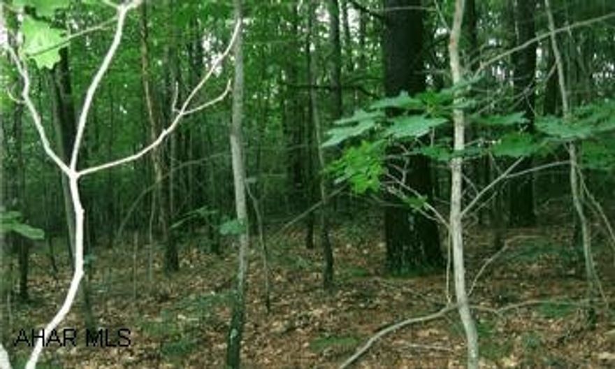 Raw land with a small stream running through the back of the property. 18.72 surveyed acres. Tree filled and gently sloping with a stream running through the back of the property. Would have to drill a well and put in a septic system.