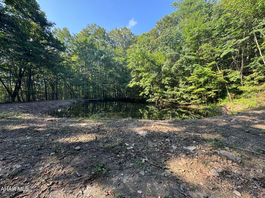 31.4 wooded acres in a nice rural location near Amsbry, Gallitzin Township. The site has passed for on lot sewage and will make a nice site to build on. Short right of way access with a stone road. Small pond on site. Timber included with timber appraisal of $64,841. Can be purchased with or without the timber.