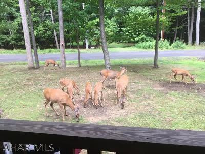 Glendale Yearound - Residential