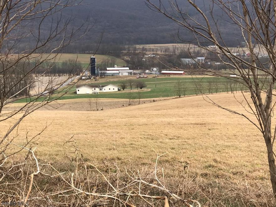 Dairy Farm with 172.57 acres in historic Bedford County.  150 tillable acres, 17 wooded & 10.5 pasture.  High productivity soils consist of mainly Hagerstown with a gentle rolling topography.  Structures include:  Three 20'x70' silos, one 20'x80' silo, 1,000,000 gallon manure storage tank, two 60-stall barns, 30-stall flat milking parlor, 4000 gallons stainless steel milk tank.  Property includes a 4 bedroom stone, 1 1/2 bath home with enclosed front porch.  Additional 126 tillable acres are available.  Call for details.