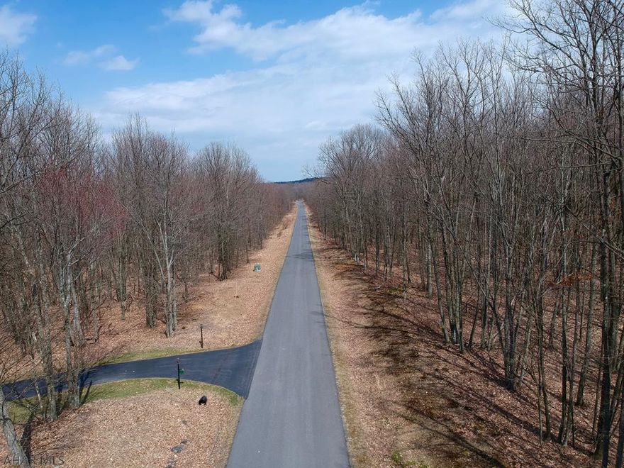 A highly desirable lot in Hickory Ridge Estates!  Over 10 acres of wooded land ready to be developed.  Property is currently in the Clean and Green program which makes for low taxes!!