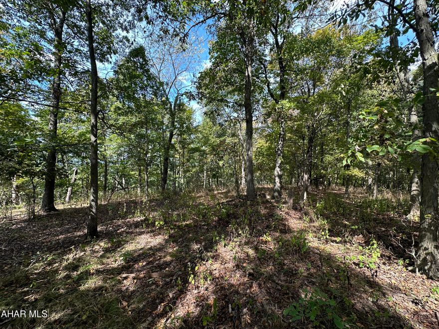 Spectacular panoramic views from this top lot.  9.364 acres with a level building site, perc approved, and easy access.  Underground electric available to tie into at each lot.  Gravel road access, minimal deed restrictions.  Perfect for a dream home, recreational retreat, hunting and more.   Mins from Shawnee State Park, Omni Bedford Springs and much more.