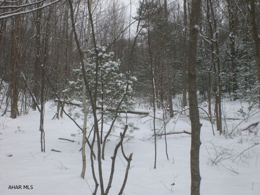 Approx. 55 acres of wooded land. Good recreational and hunting land. Property has public road frontage. Property is steep in areas.