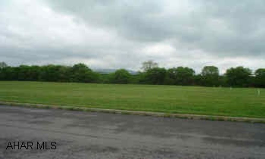 Level lot, traffic light access. Listing agent is a relative of seller.