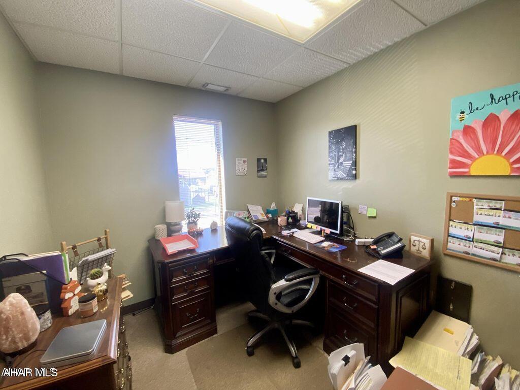 None - Commercial Lease