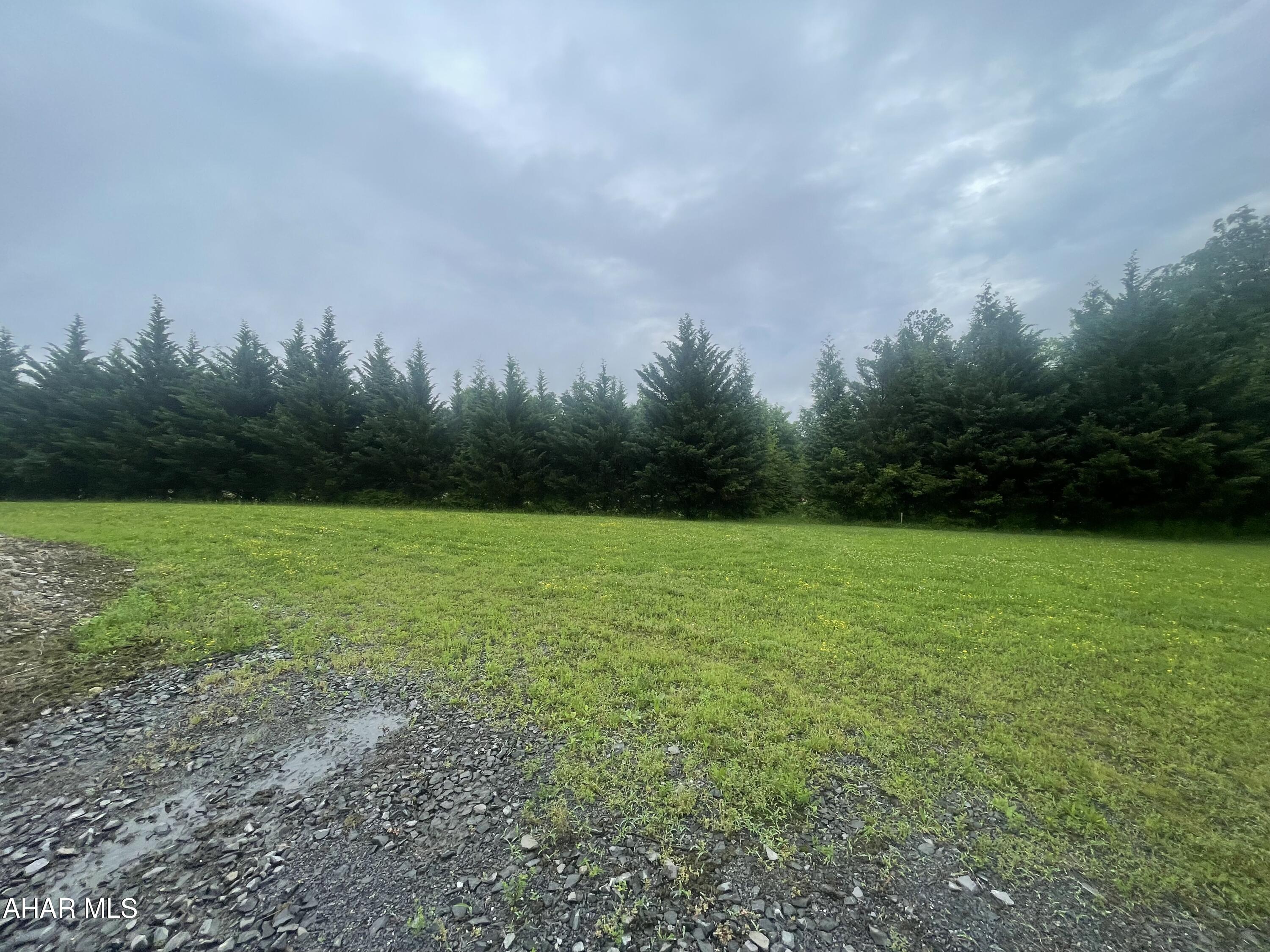 None - Commercial Sale