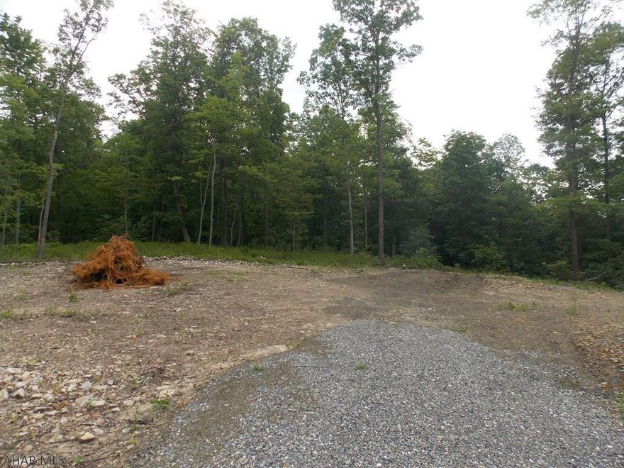 Beautiful building lot to build your dream home! Land is already cleared and ready to build. Perc test has already been completed and septic location established. All permits have been approved to install septic. Well location has also been established and well is already drilled. Permits have been approved to install electric to property. This lot is so peaceful and private on 10.1 Acres. Property can remain in clean and green program.  Several wooded acres and tons of wildlife! Only 25 minutes from State College and Altoona. Don't miss the wonderful opportunity to build on this amazing property!!