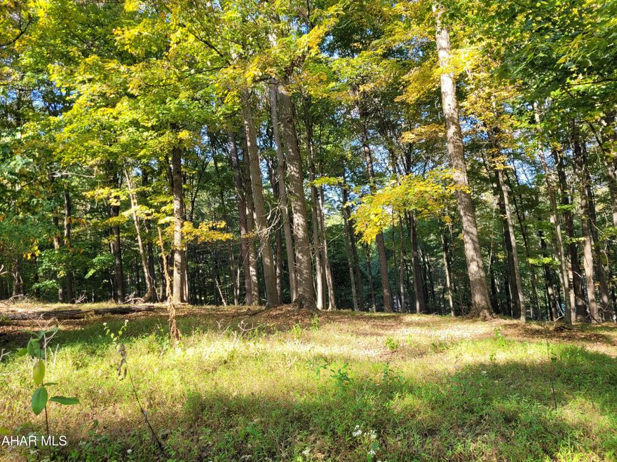 Large wooded lot for your home or getaway.  This property is located in Glendale Yearound,, a gated recreational community.  Public water and sewer.