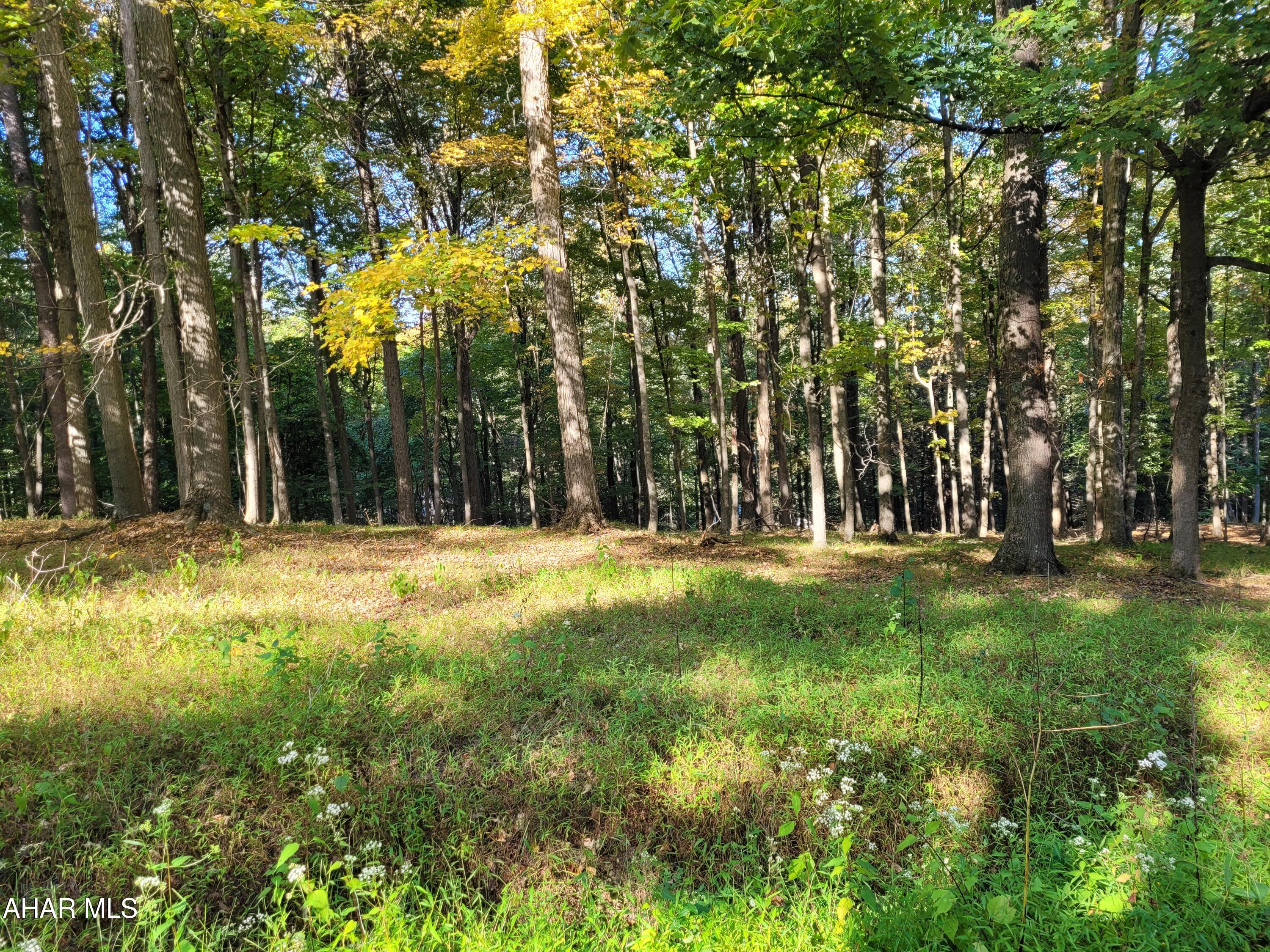 Glendale Yearound - Land