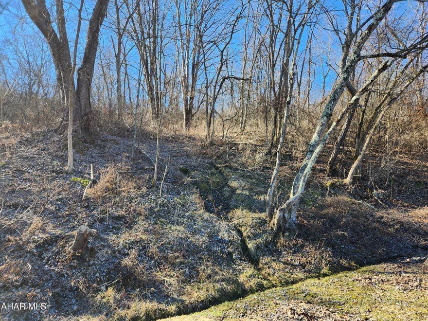 Wooded acreage that was sold in conjunction with 1047 Quaker Valley Road.
