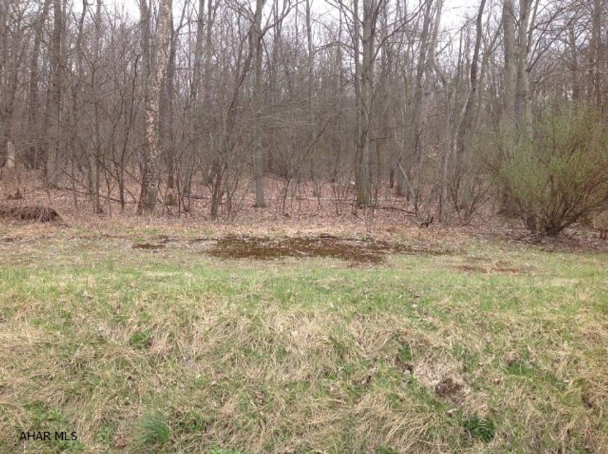 If you are looking for a private location with hunting in your back yard and with mature timber. For the new home builder or the hunter this is a must see. Also road frontage and sewer available.