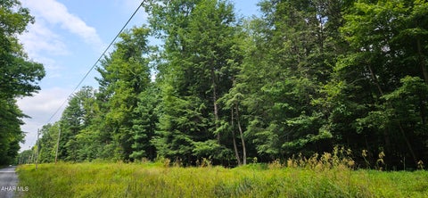 Photo for 0 Trough Creek Drive