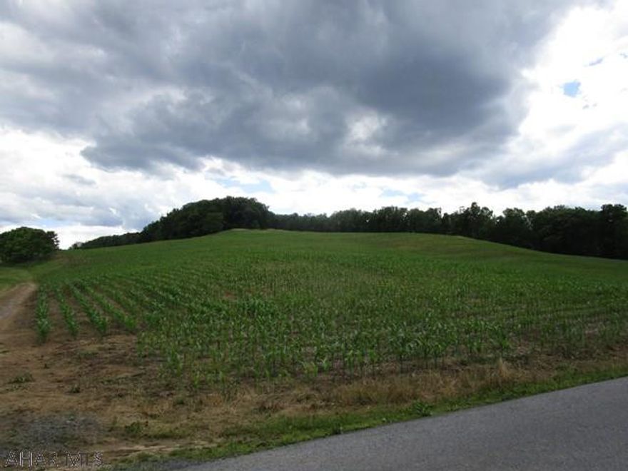 This is a beautiful parcel of land containing 18.34 acres.  Scenic views of the surrounding countryside, open and wooded and public road frontage.  Just down the road from King Valley Golf Course and close to Blue Knob Resort.  Perfect location for that new home or use as recreational land.  Land has not been perc tested at this time.