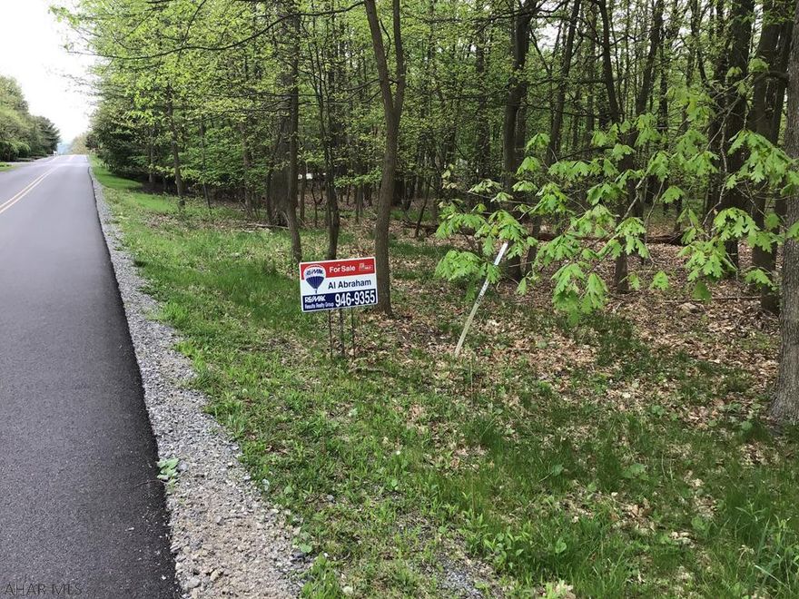 Prime home building site in fully developed luxury neighborhood.  Approx 175'x205' wooded lot with all public utilities.  AAHS schools.