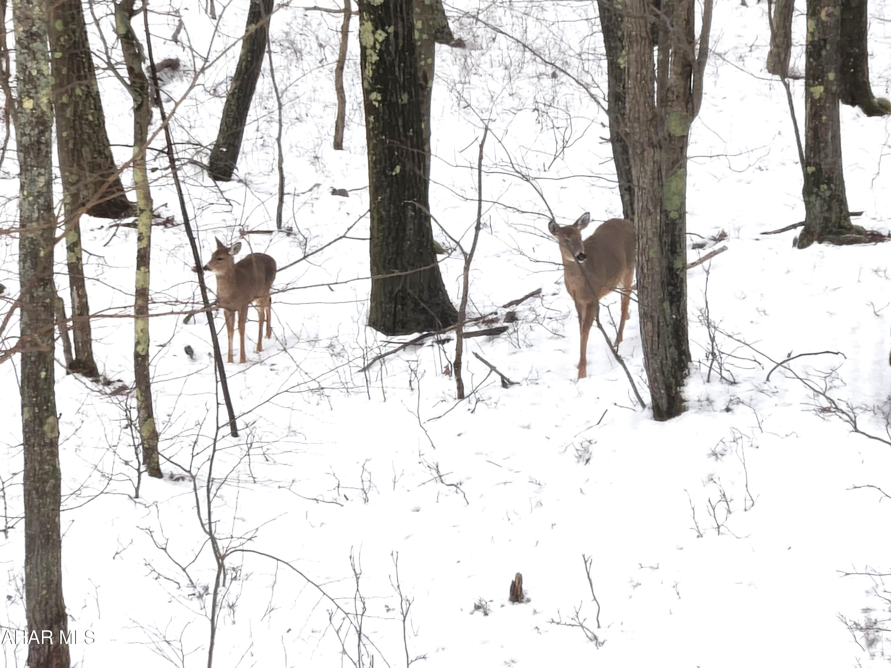 Folmont - Residential