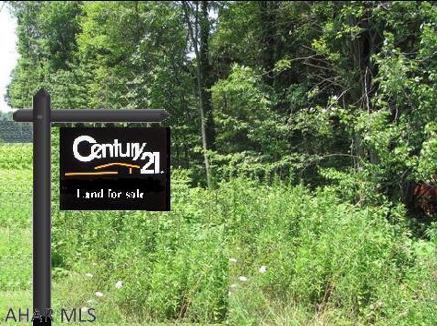 Very level double lot, in a nice township development. great location to build, particularly for the train fanatic! Although a secondary line, still with in view of passing trains. All public utilities are available at the street.