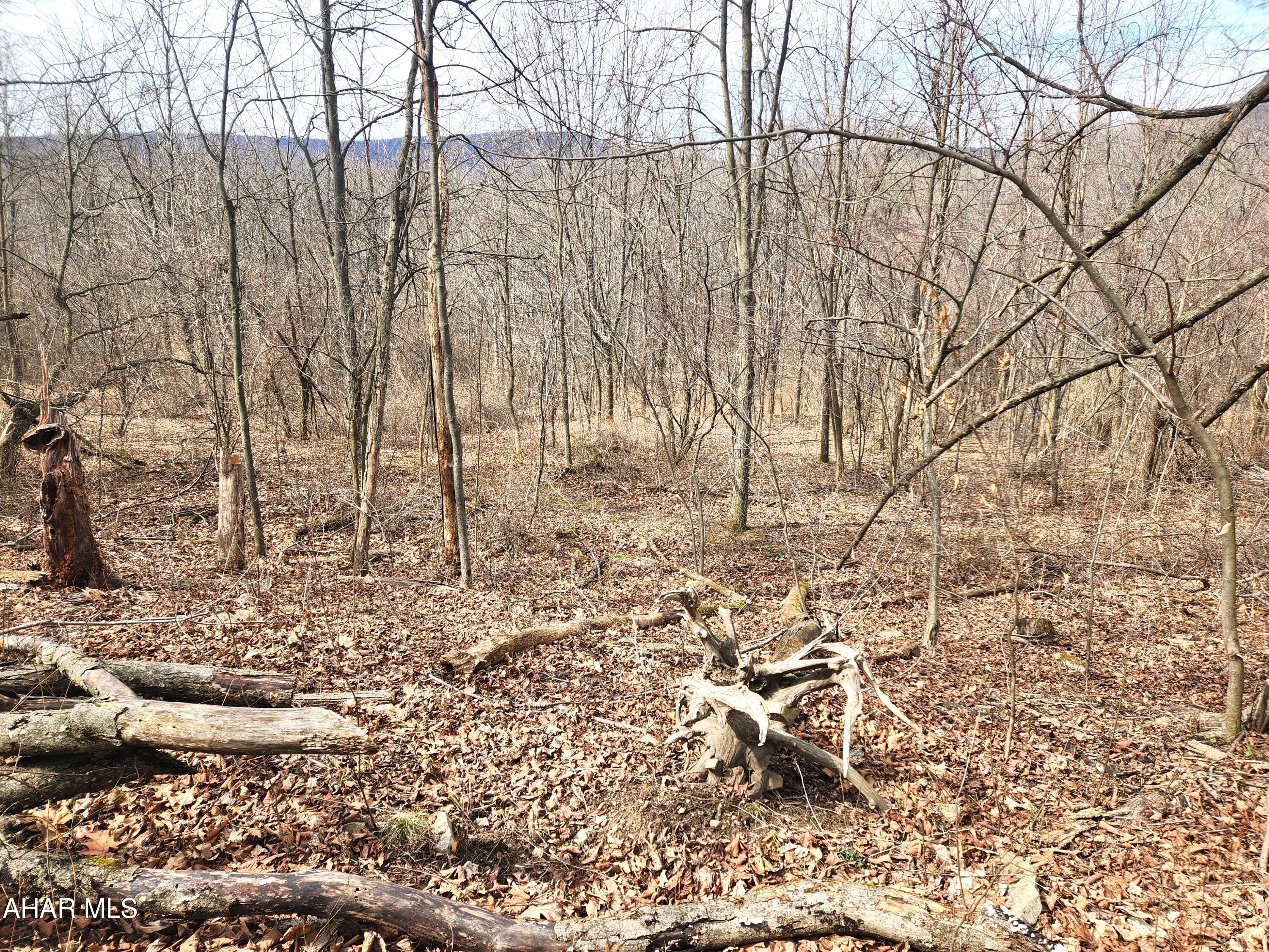 None - Commercial Sale