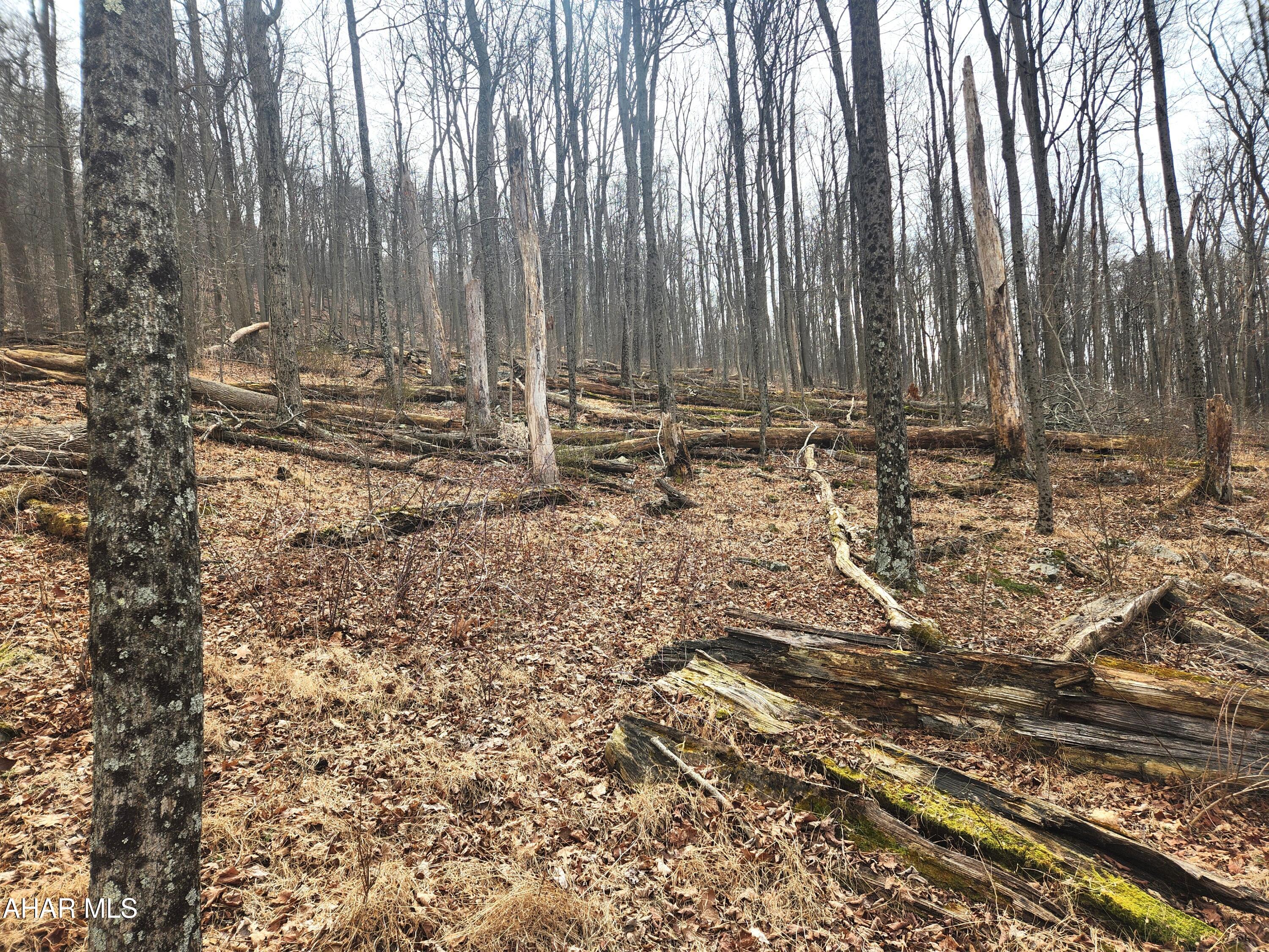 None - Commercial Sale