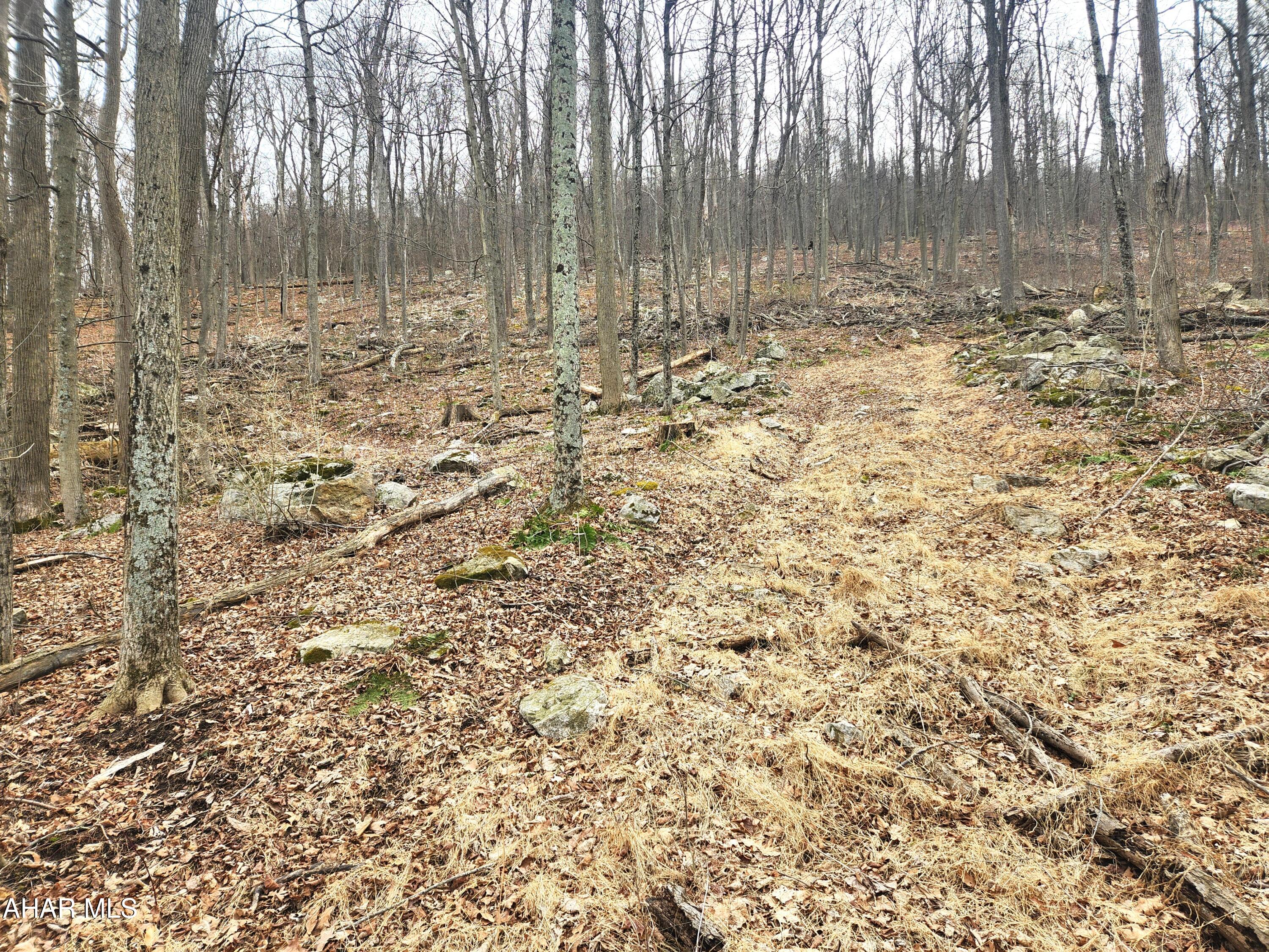 None - Commercial Sale