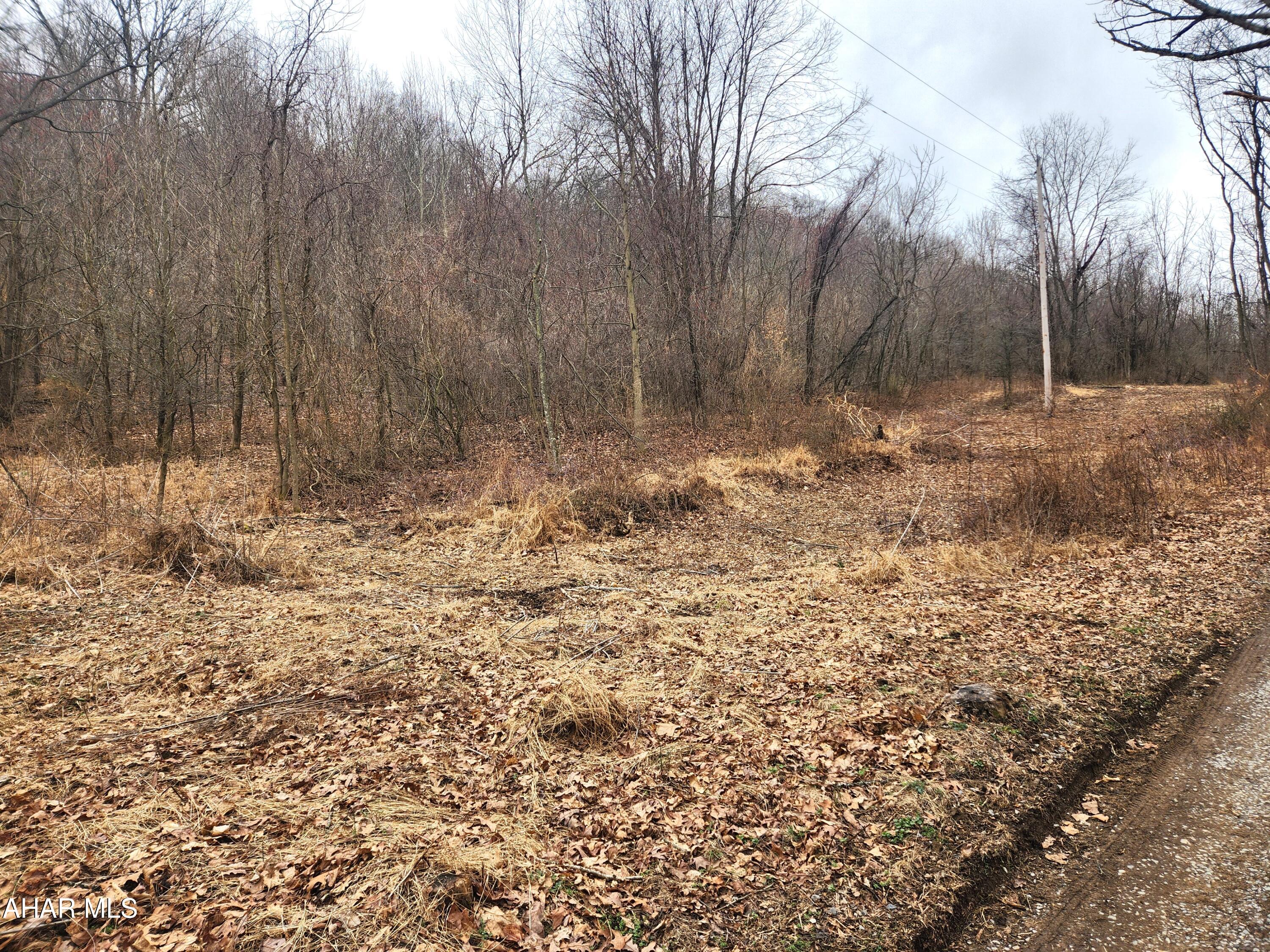 None - Commercial Sale