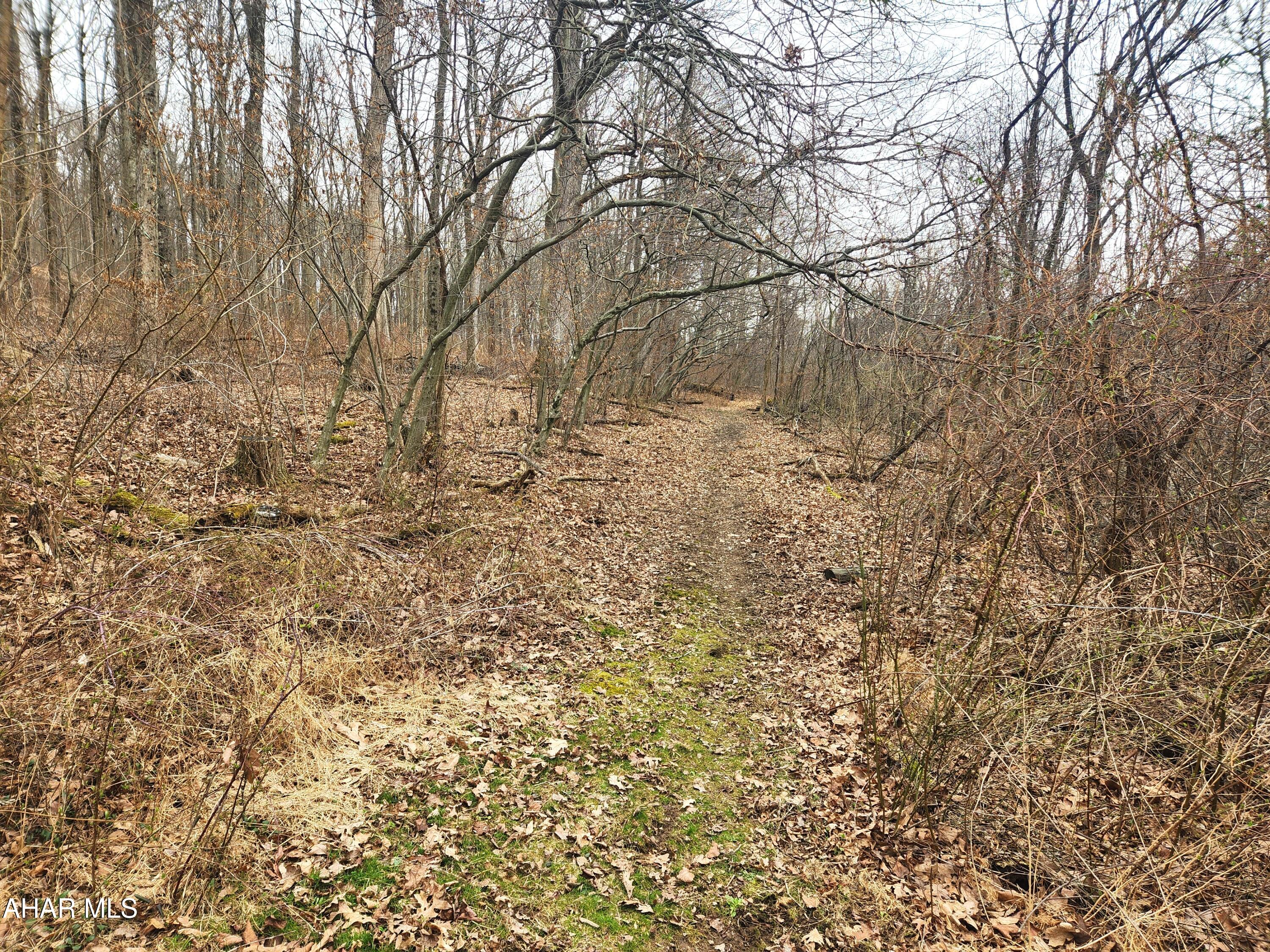 None - Commercial Sale