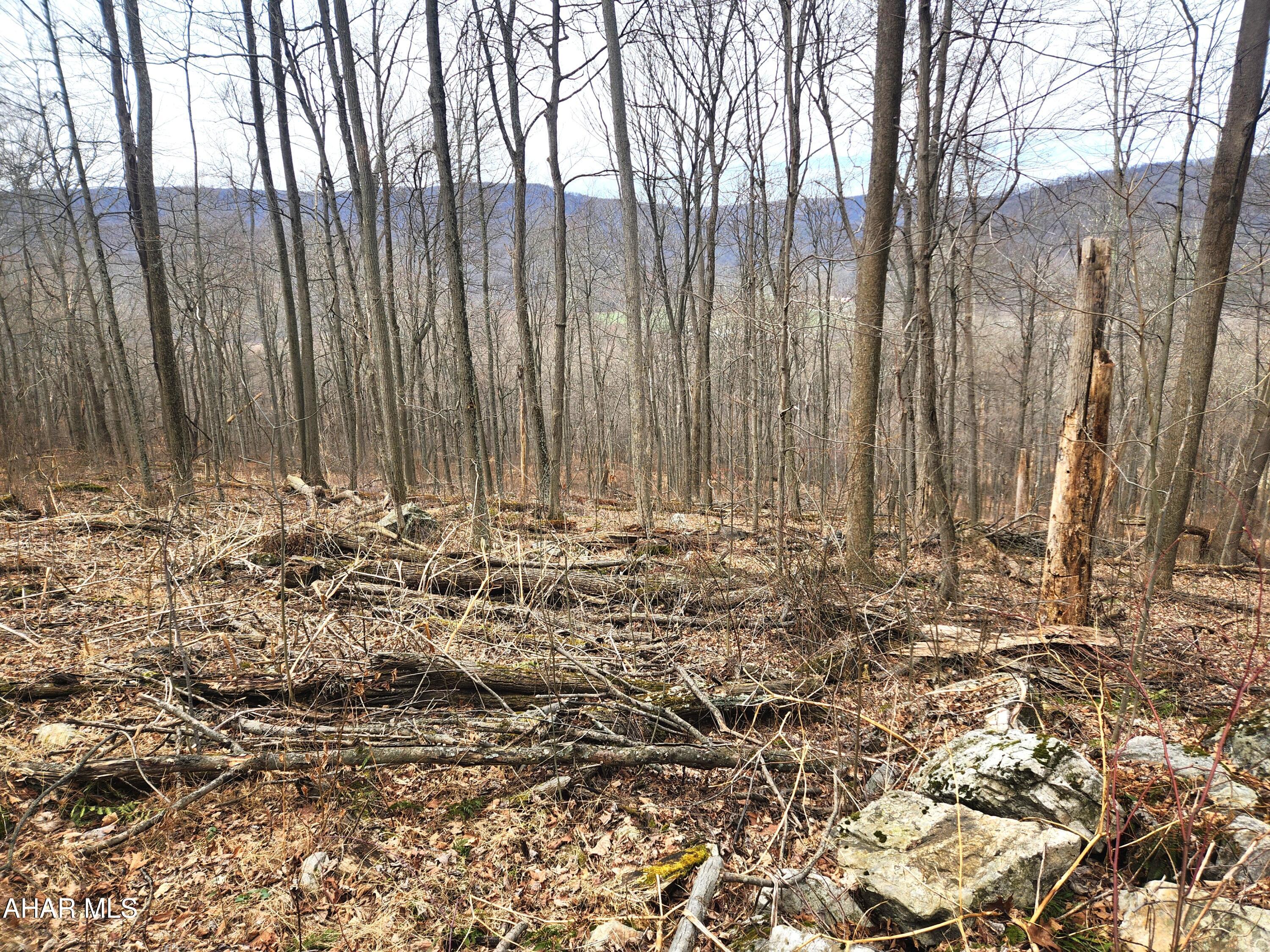 None - Commercial Sale