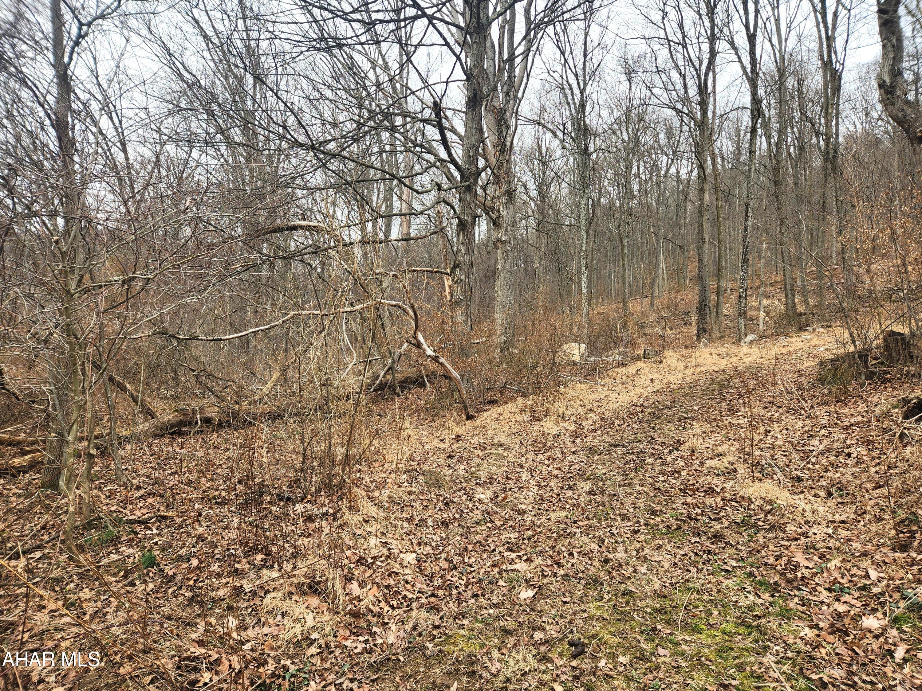 None - Commercial Sale