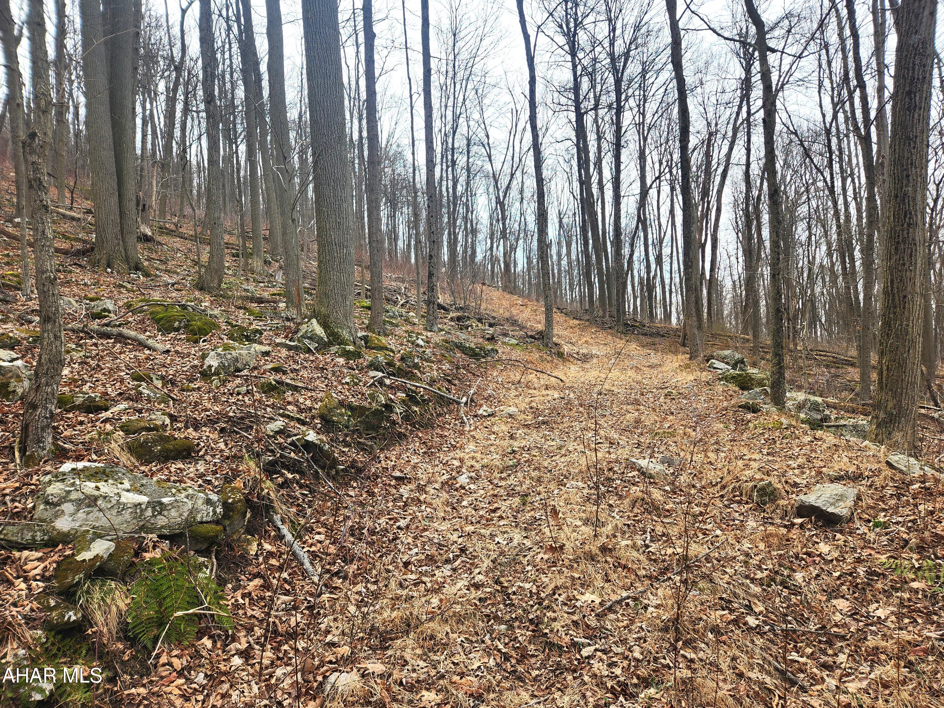 None - Commercial Sale