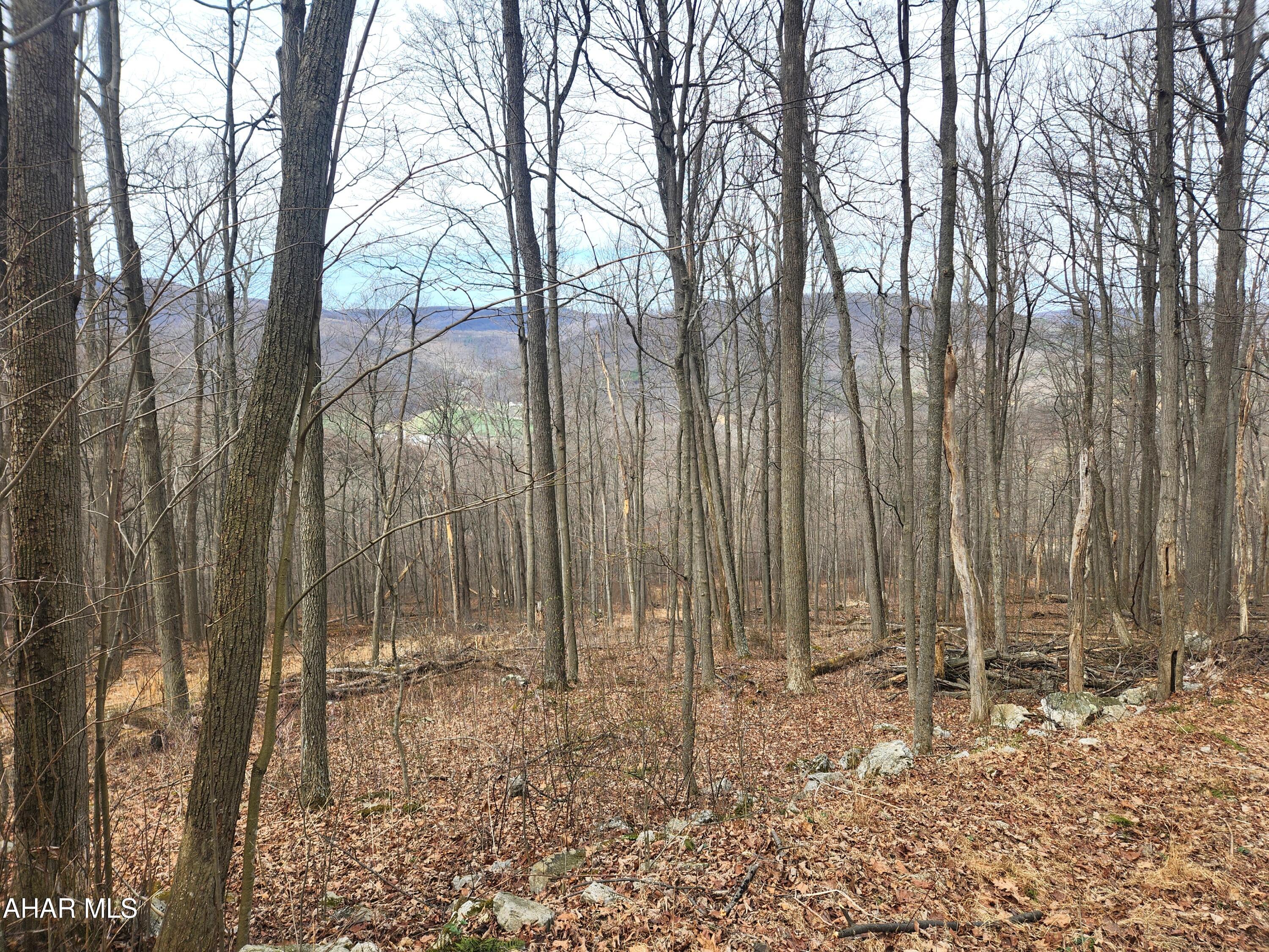 None - Commercial Sale